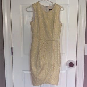 Tulip dress from the limited